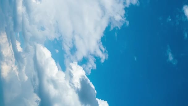 Függőleges Videó Vihar Kitörésének Időrendje Tiszta Kék Eget Fekete Esőfelhők — Stock videók