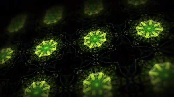 Luz Animada Verde Abstrato Caleidoscópio Flora Padrão Fundo Animação Loop — Vídeo de Stock