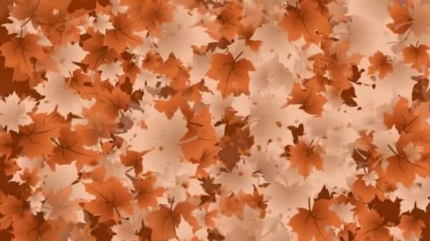 Flying Spinning Brown Autumn Leaves Inglés Adorno Abstracto Arte Estacional — Vídeo de stock