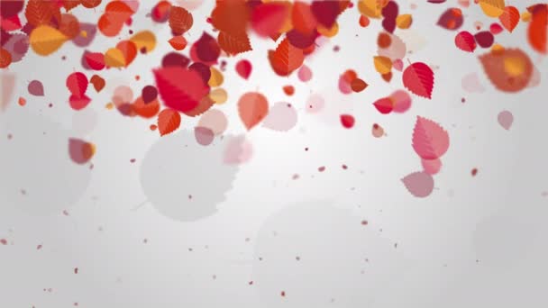 紅葉の木が落ちている アニメーションのカラフルな葉を持つ白いアートの背景 ループモーショングラフィックス コピースペース — ストック動画