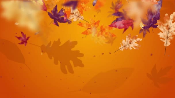 Herfst Oranje Abstracte Achtergrond Met Animatie Van Gekleurde Vallende Bladeren — Stockvideo