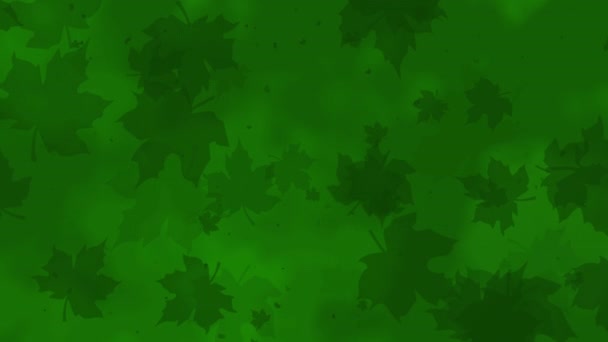 Grüner Abstrakter Herbstlicher Monochromer Hintergrund Mit Fliegenden Ahornblättern Looping Animation — Stockvideo