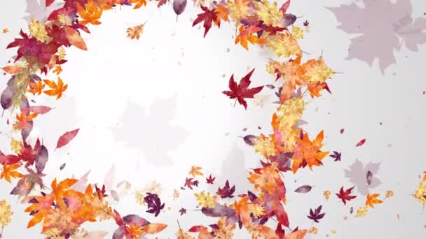 秋の黄色と赤いメープルの葉の波を持つ白い背景 スペースをコピーする アニメーション — ストック動画