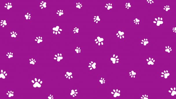 Fondo Púrpura Con Huellas Pata Perro Gráficos Movimiento Patrón Silueta — Vídeo de stock