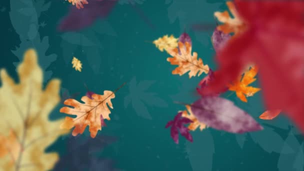 Sonbahar Düşen Sarı Kırmızı Ağaç Yapraklı Bulanık Turkuaz Arka Plan — Stok video