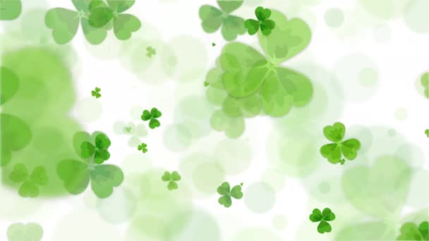 柔软的爱尔兰传统装饰绿色的三叶草叶白色的背景 循环动画 复制空间 — 图库视频影像