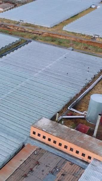 Drone Flies Big Glass Industrial Greenhouses Indoor Farming Heat Recovery — Stock Video