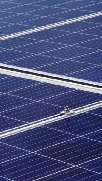 Горизонтальные Модули Солнечных Панелей Производства Альтернативной Энергии Солнечная Электростанция Вертикальное — стоковое видео