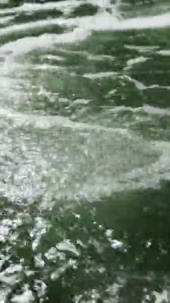 Aireación Agua Piscina Camarones Burbujas Aire Subiendo Granja Camarones Disparando — Vídeo de stock