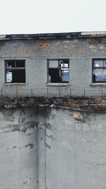 Betört Ablakok Falak Egy Régi Vegyi Üzem Mohával Borított Betonkripta — Stock videók