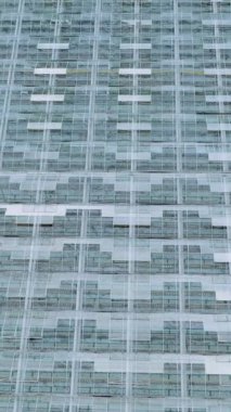 Seranın çatısındaki büyük cam pencerelerin hava aracı görüntüsü. Çiftçilik, tarım endüstrisi. Güneşli bir günde büyük sanayi seralarının üzerinde uçmak. Dikey video.