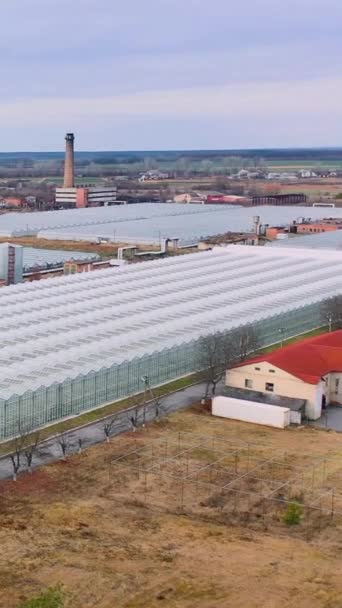 Glass Greenhouses Aerial View Flight Agricultural Buildings Vertical Video — Stock Video
