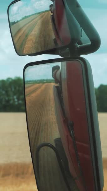 Harvester Rides Field Wheat View Cab Rearview Mirror Vertical Video — Stock Video