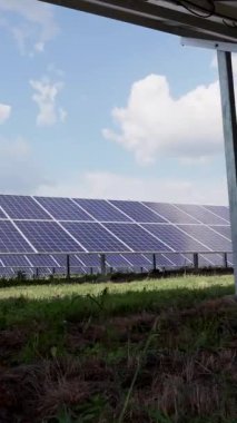 Güneş enerjisi santralinin yeşil alanındaki birçok sıra güneş paneli. Metal inşaat sütunları destek panelleri. Dikey video.