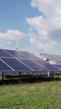 Yeşil alanda güneş çiftliği. Birçok güneş paneli olan modern bir kompleks. Alternatif enerji. Dikey video.
