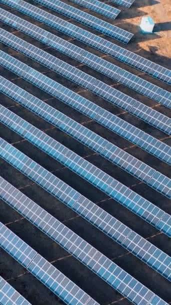 太阳能电站面板的空中视图 景观电力生态创新自然环境 垂直录像 — 图库视频影像