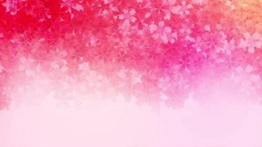 Pembe çiçek yaprakları düşer. Soyut animasyon romantik bahar arkaplanı. Mesaj için yer. Döngülü hareket grafikleri.