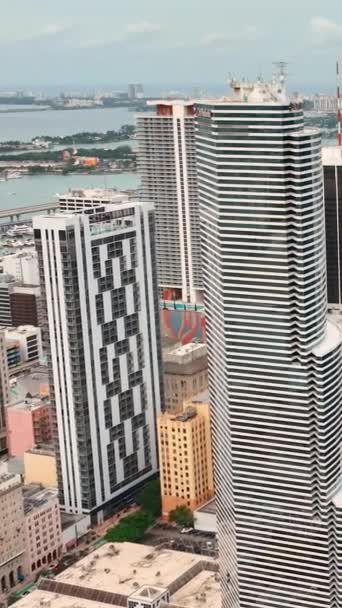 Μαϊάμι Φλόριντα Ηπα Ιανουαρίου 2024 Υψηλές Ουρανοξύστες Στο Κεντρικό Τμήμα — Αρχείο Βίντεο
