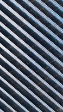 İnsansız hava aracı güneş enerjisi santralinde uçuyor. Günbatımında sıra sıra güneş panelleri olan sonbahar tarlası. Dikey video.