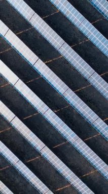 Güneş enerjisi santralindeki bir alanda sıra sıra fotovoltaik güneş panelleri. Ekolojik elektrik üretimi. İHA 'dan en iyi görüntü. Dikey video.