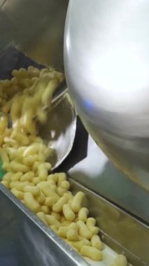 Metal tanktan mısır çubuklarını otomatik taşıma bandına döküyor. Elinde kürek olan bir işçinin eli. Yiyecek fabrikası. Dikey video.
