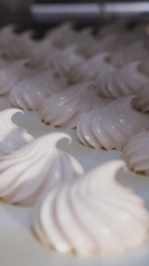 Taşıyıcı banttaki tatlı beyaz girdap şekerlemeleri. Fabrikada şekerleme ürünleri üretimi. Kurutma işlemi. Dikey video.