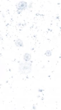 Karahindiba rüzgârının arka planı. Beyaz üzerinde uçan karahindiba tomurcukları olan yumuşak mavi bir siluet. Soyut uçan tohumlar. Döngülü. Dikey video.