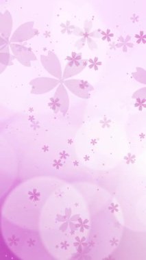 Pembe sakura yaprakları ve çiçekler. Doğa soyut döngü arkaplanı. Dikey video.