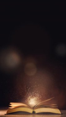 Karanlık arka planda yıldızlar olan soyut altın büyü kitabı. Parlayan parçacıklı sihirli İncil kitabı. Döngü hareketi grafiği. Uzayı kopyala Dikey video.