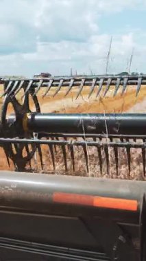 Çim biçme makinesi mekanizması buğday dalını keser. Tarım hasat işi. Yiyecek üretimi. Dikey video.