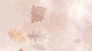 Soyut kahverengi sonbahar koleksiyonu, meşe palamudu, meşe, mevsimlik yapraklar. Döngü animasyonu. Boşluğu kopyala.