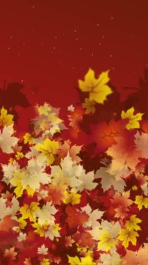 Sonbahar koyu turuncu çiçek arkaplanı ve bulanık akçaağaç yaprakları. Döngülü hareket grafikleri. Uzayı kopyala Dikey video.