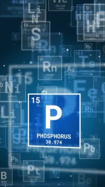 Periyodik cetvelde fosfor ikonu konsepti. Mavi arka planda döngü animasyon kimyasal işareti. Dikey video.