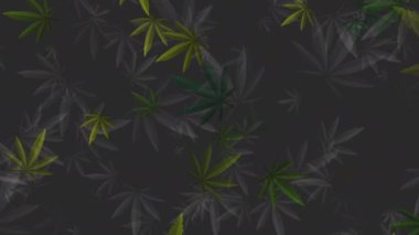 Marihuana yapraklarıyla koyu yeşil renkli döngüler. Soyut arkaplan.