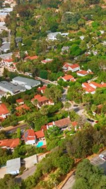 Los Angeles 'ın dışında bir yerleşim bölgesi. Tepelerde palmiye ağaçları ve yeşillik olan evler. Hava görüntüsü. Dikey video.