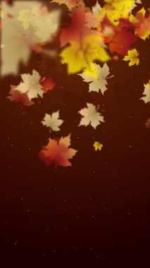 Sonbahar kahverengi arka planı ve yaprak düşüşü. Şükran Günü ve Hasat Günü. Akçaağaç sınırdan ayrılır ve bokeh. Döngü animasyonu. Dikey video.