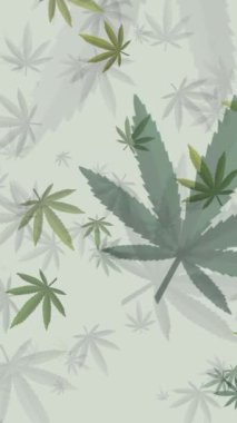 Açık arkaplanda yeşil kenevir yapraklarının döngü animasyon deseni. Dikey video.