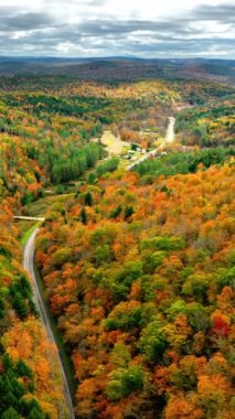 ABD 'de sonbaharda Portakal Ormanı' ndaki dağ yolunun havadan görünüşü. İHA 'nın üst görüntüsü. Orman. Otobanı olan güzel bir manzara. Dikey video.