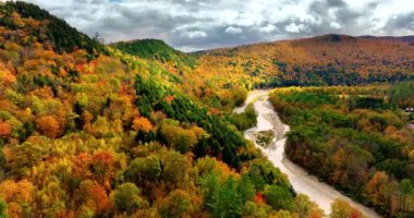 Sonbaharda günbatımında dağ nehri ve güzel ormanın havadan görüntüsü. Yol, orman, araba, yeşil çayır ve nehrin insansız hava aracı manzarası. Renkli manzara.