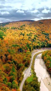 Amerikan dağlarının manzaralı vadisinde nehir manzaralı bir yol. Sonbahar sezonu. Hava görüntüsü. Dikey video.