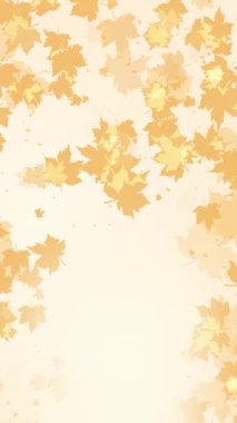 Sarı arka planda sonbahar yaprakları akçaağaç animasyonu. Uzayı kopyala Döngülü. Dikey video.