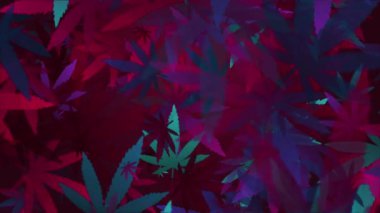 Marihuana ve kenevir yaprağı suluboya döngü animasyonu. Soyut mor arkaplan.