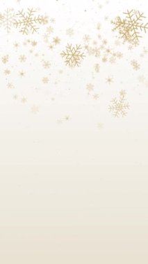 Altın Noel kar taneleri arka planda. Beyaz tebrik kartında kış karının en az çerçeve süslemesi. Yeni yıl tatili animasyon döngüsü. Dikey video.