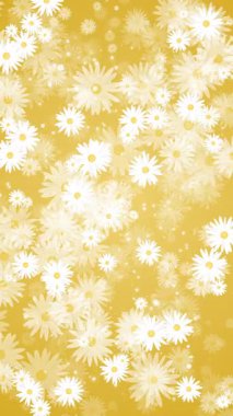 Beyaz yapraklı papatya çiçekleri. Soyut sarı çiçekli arka plan. Döngülü hareket grafiği. Dikey video.