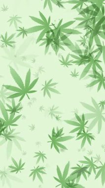 Ot izi. Animasyon esrarı yeşil yaprak, tıbbi yasallaştırılmış marihuana sembolü. Dikey video.