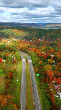 Amerika 'nın güzel kırsallarında kamyonlar yolda gidiyor. Sonbahar manzarası, hava manzarası. Dikey video.
