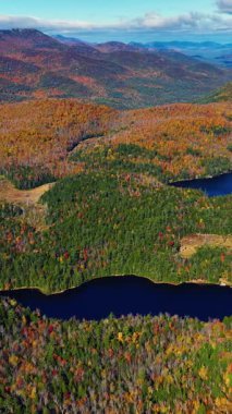 Sonbahar güneşli bir günde ormandaki güzel mavi göl. Hava görüntüsü. Parlak renklerle resmedilmiş dağ manzarası. Dikey video.