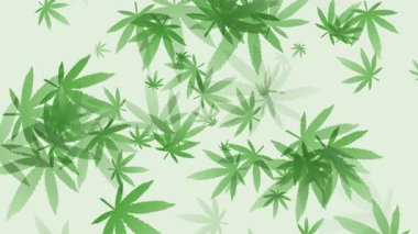 Uçan geometrik yaprak marihuana desenli yeşil soyut bir arka plan. İlmek Tıbbi Canlandırması.