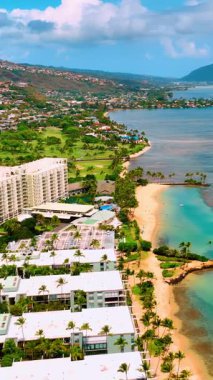 Hawaii Honolulu 'da palmiye ağacı olan kumsalda oteller. Körfezde turkuaz su ve mercanlarla kıyı manzarası. Dikey video.