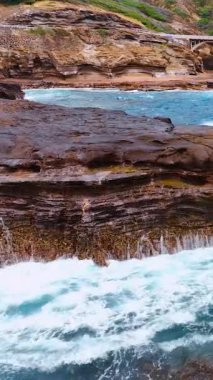 Çarpışan dalgalar ve sakin mavi okyanusla güzel kayalık sahil manzarası. Oahu Adası, Hawaii. Dikey video.